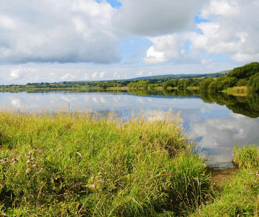 Levenburgh Links Nature Reserve